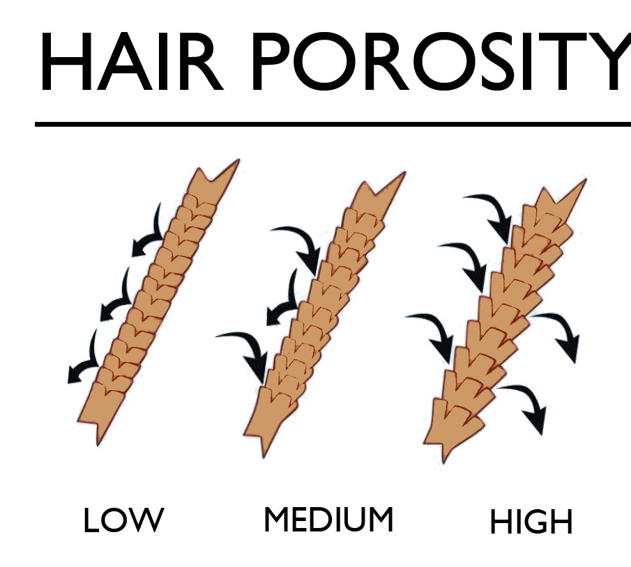HAIR-POROSITY-CHART